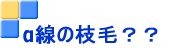 �����̎}�сH�H