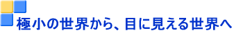 α線の枝毛??