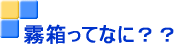 �����̎}�сH�H
