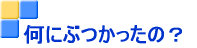 �����̎}�сH�H